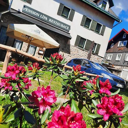 Pension Lipa Horní Maršov 外观 照片