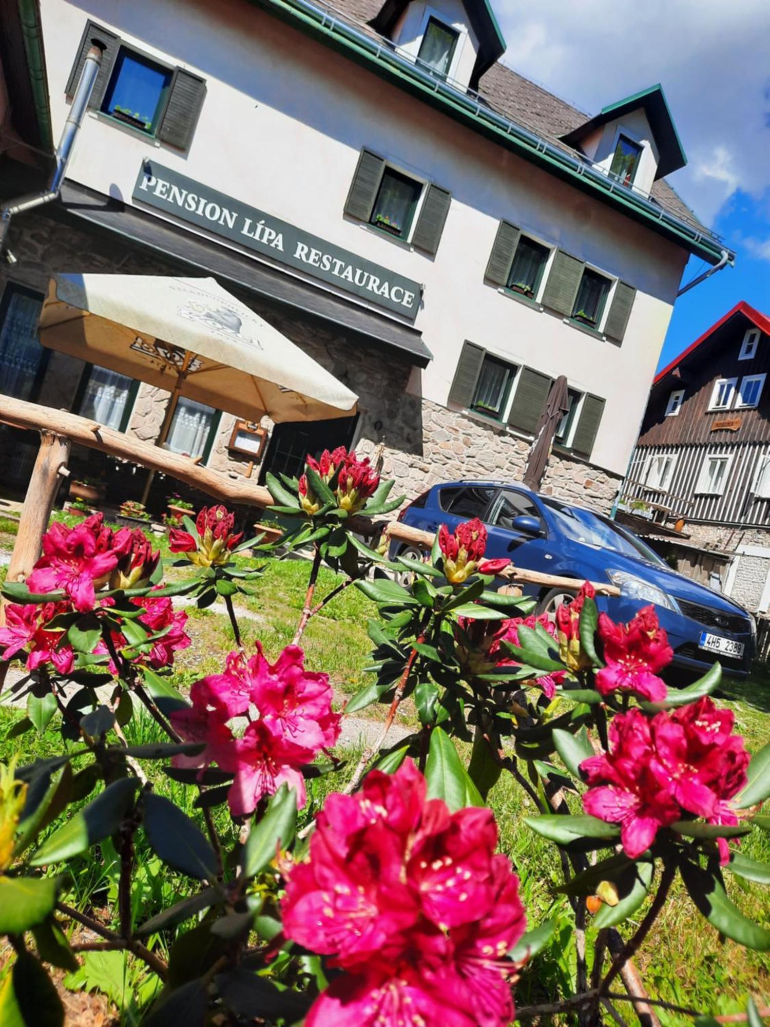 Pension Lipa Horní Maršov 外观 照片