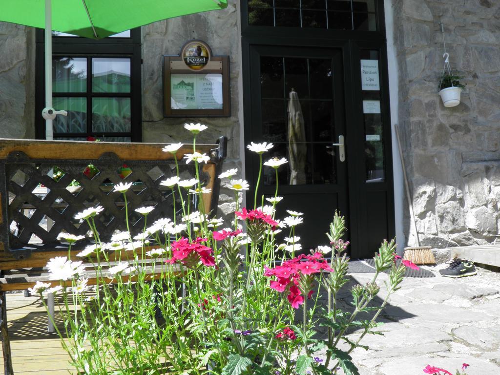 Pension Lipa Horní Maršov 外观 照片